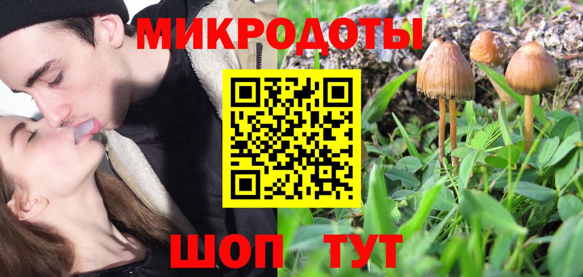 Псилоцибиновые грибы мицелий  Вход с VPN  Троицк 