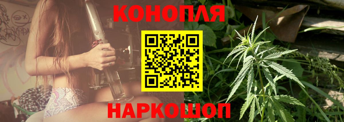 Бошки Шишки MAZAR Троицк